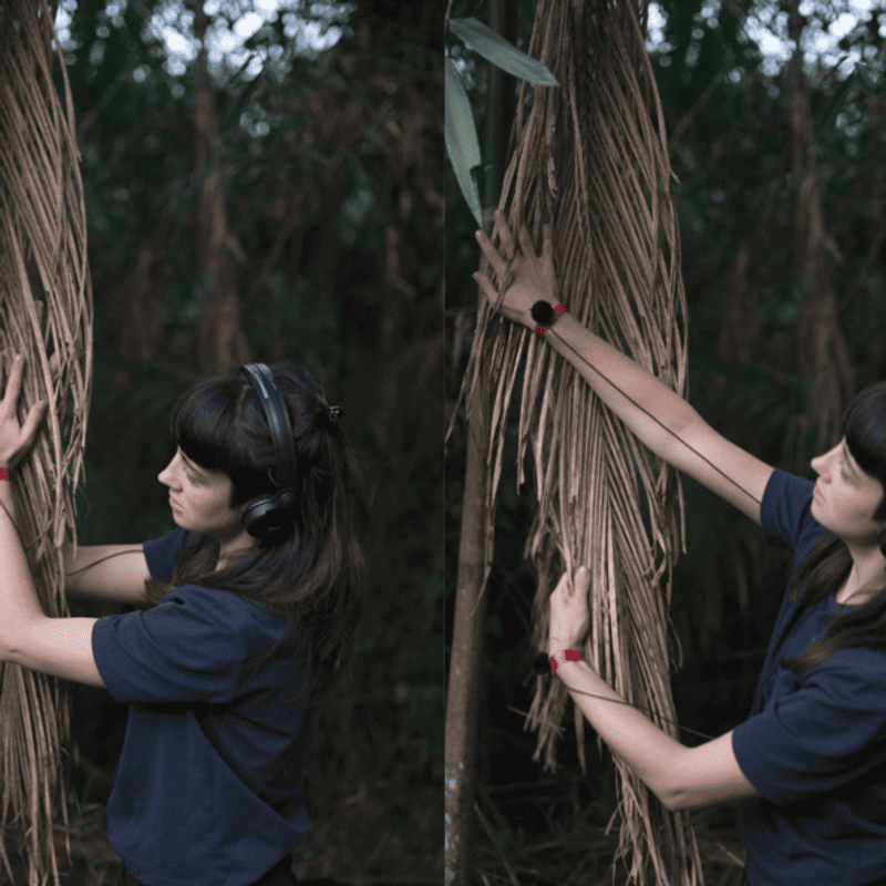 Mélia Roger, Portrait en feuille