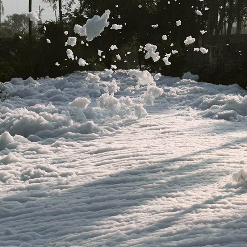 Bellandure See The Lakeand The Lake Sindhu Thirumalaisamy