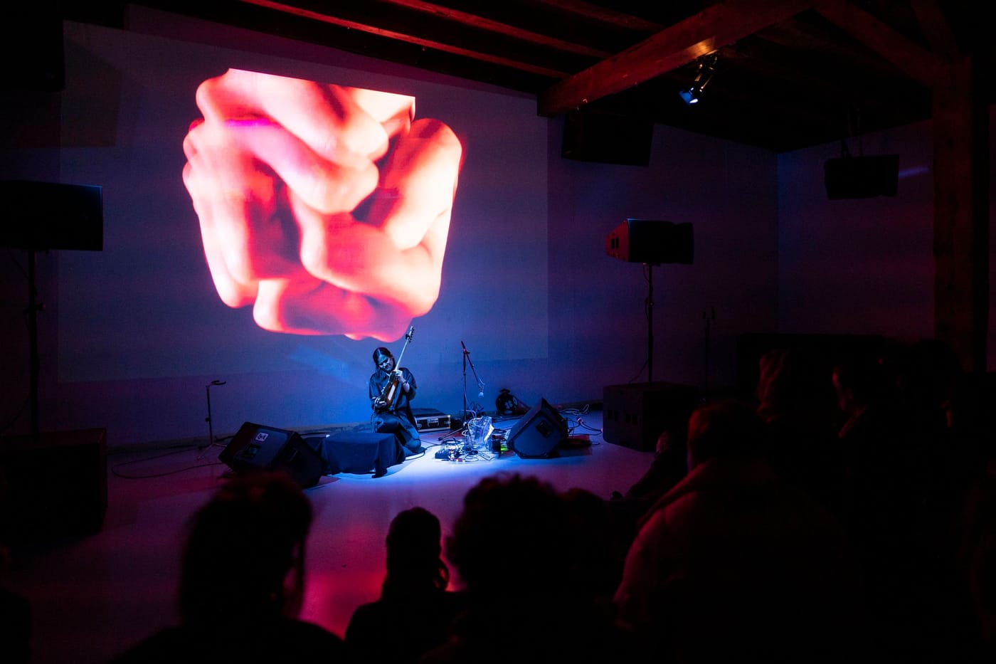 Ale Hop @ Kunstraum Walcheturm © Kira Kynd