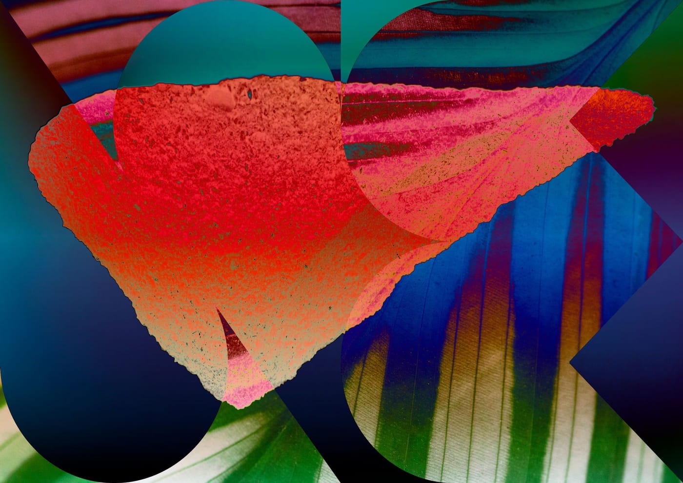 Sonic Matter Identity Radio visual web