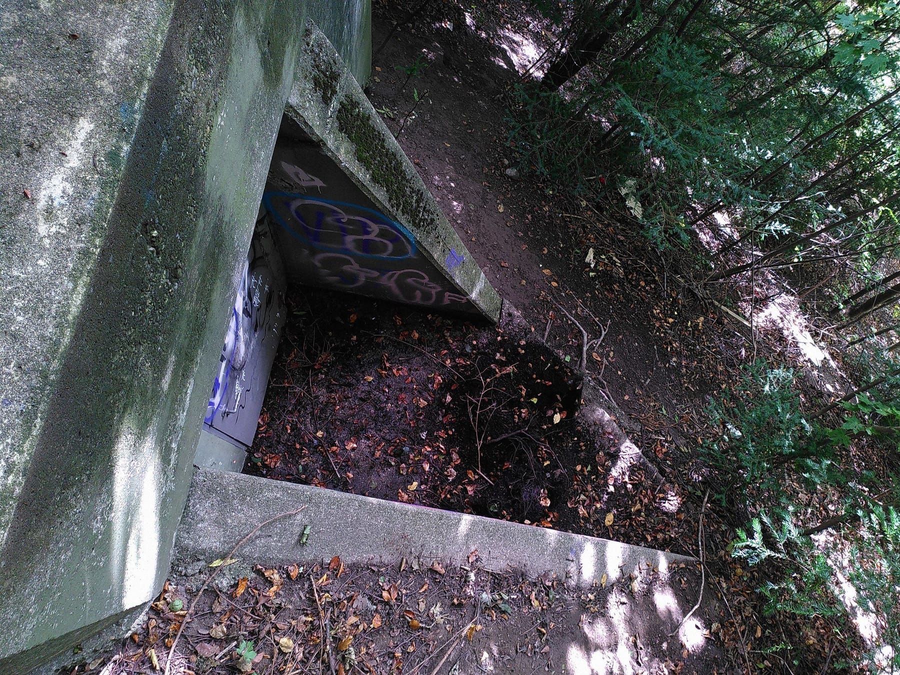 12 UNTER DER KLOPSTOCKWIESE 1 Photo Kaspar Koenig be