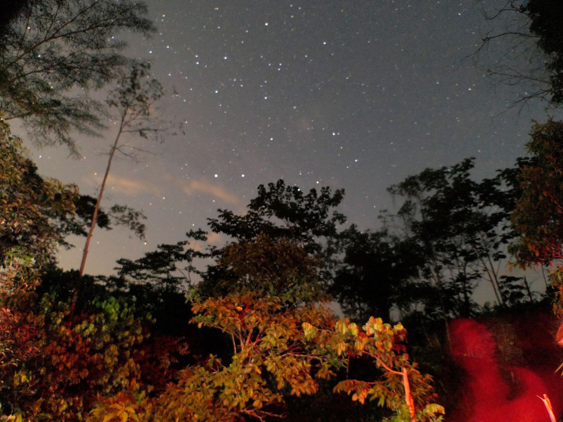 13 SONIC MATTER OPENLAB 2021 1 Midnight in Llanchama Cocha Amazonia Ecuador Photo Fabiano Kueva Taller Sapara be