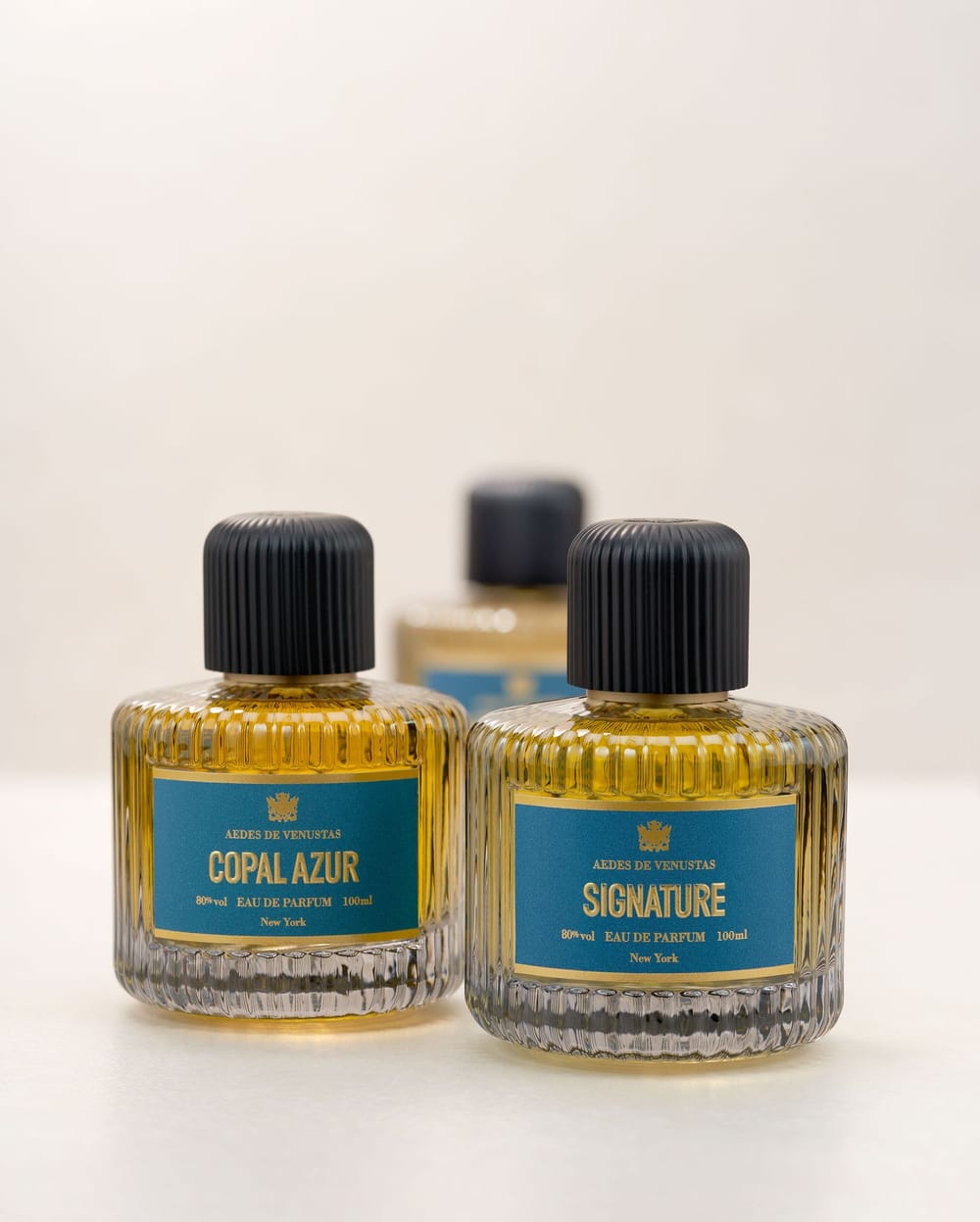 Aedes de Venustas Frag 033 SH2204