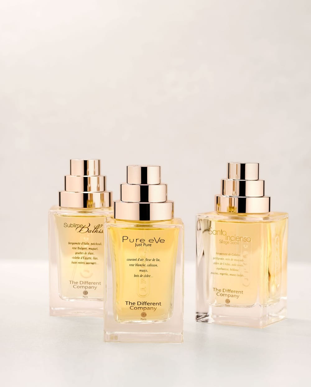 THE DIFFERENT COMPANY 3 10 SH2301