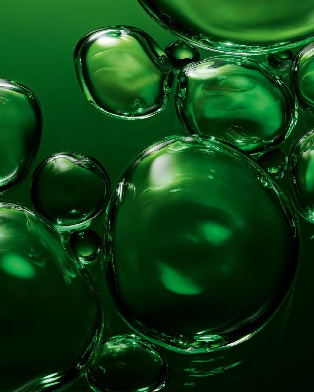 ORV HOUSE 23 Digital Visual Biofermentation 2500x2500 1280x1280