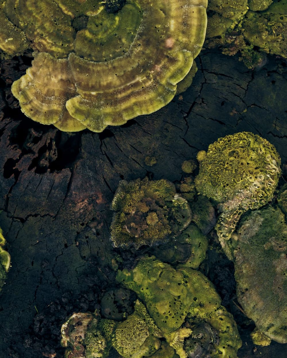 PSRL Pietzmoor 0798 Bearbeitet s RGB