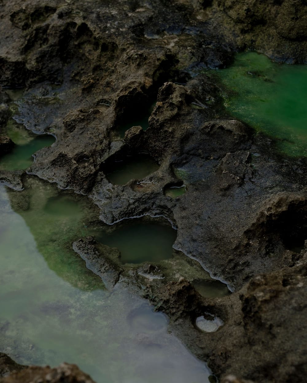 GEZEITEN CAMPAIGN CHARLES BALS 5