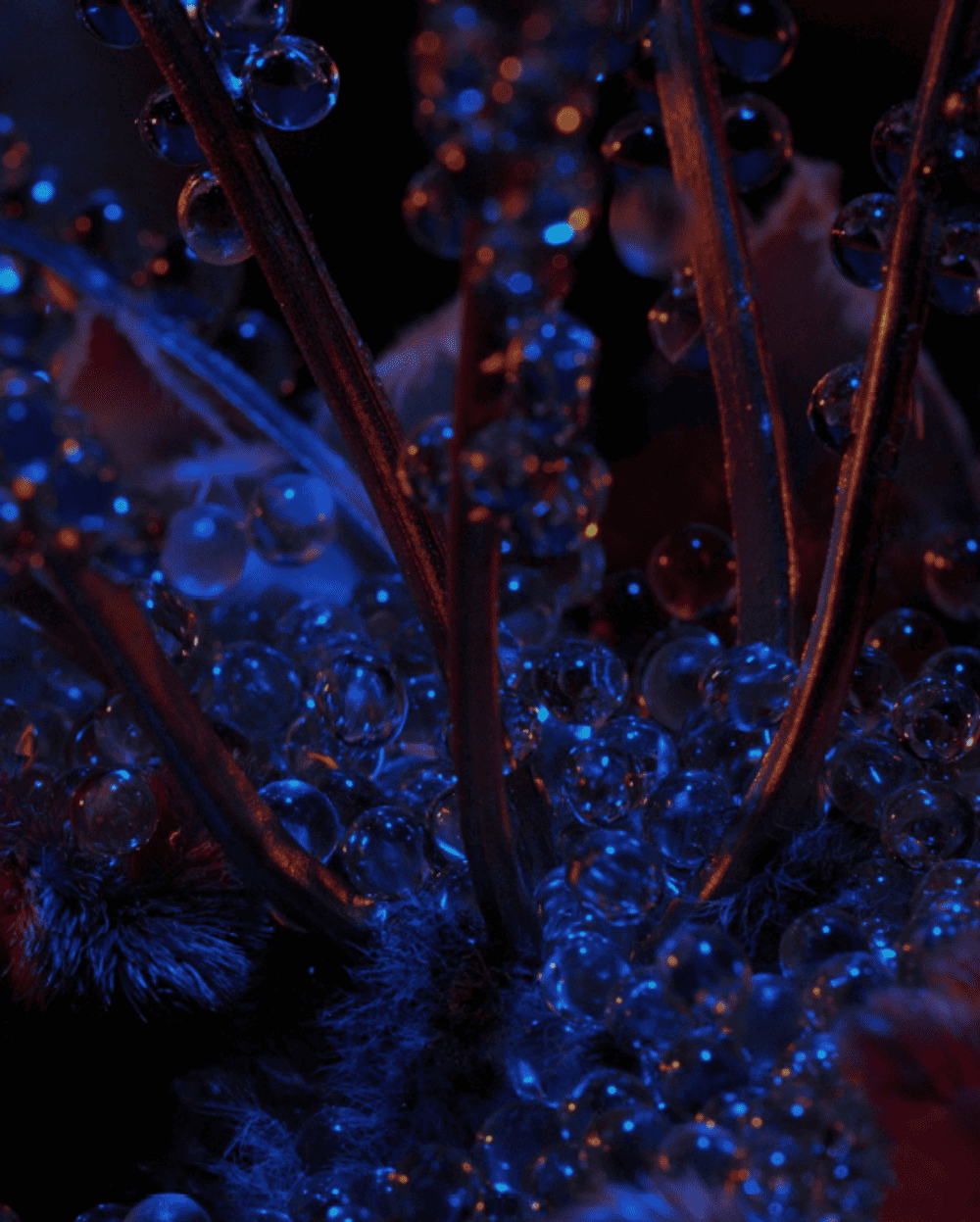 Screenshot 2024 05 03 120539