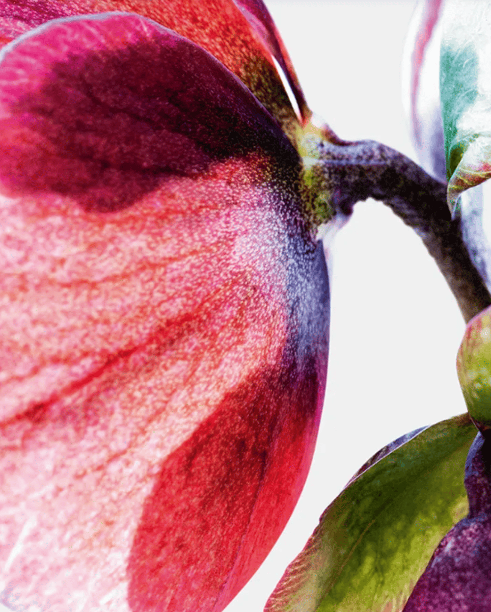 Screenshot 2024 04 24 154224