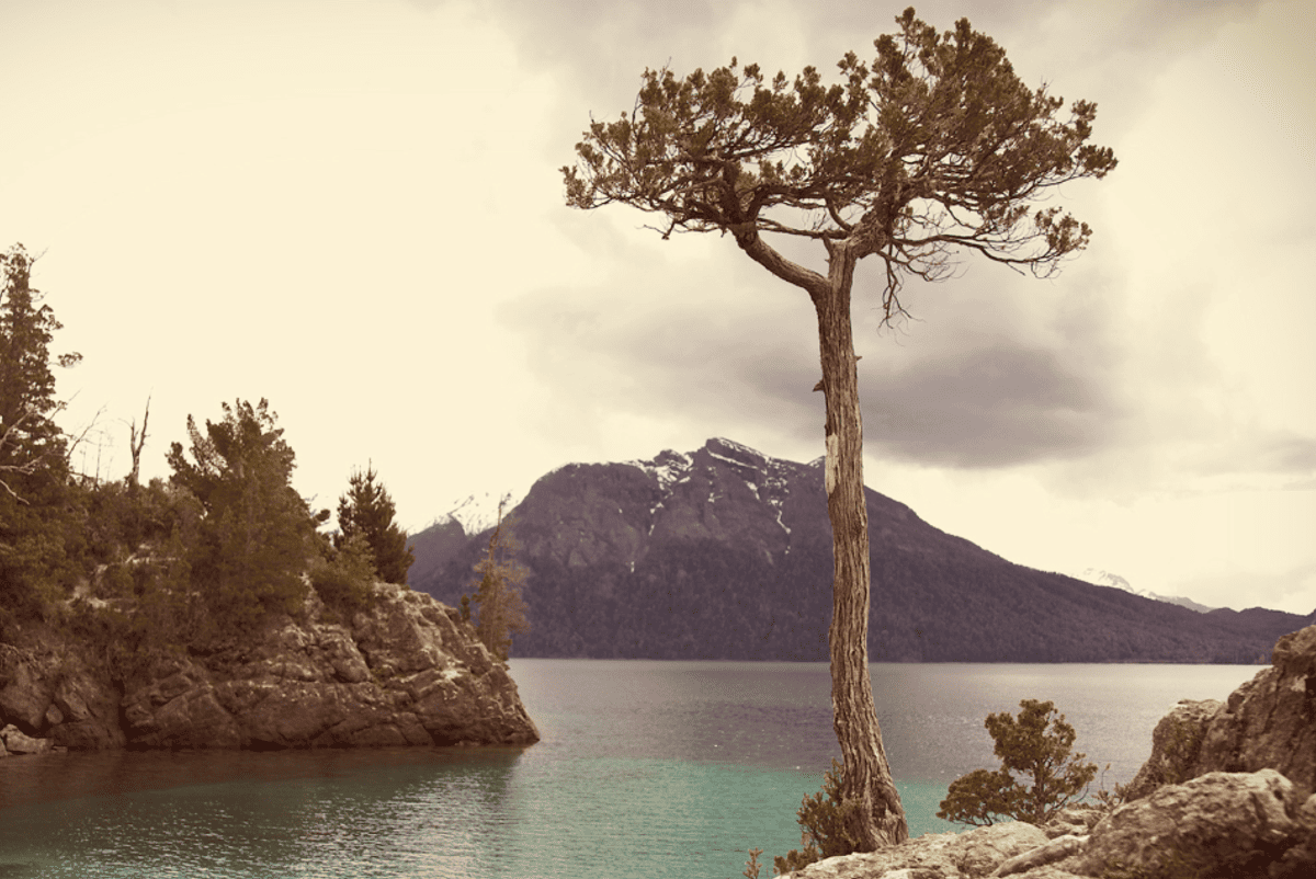 Screenshot 2024 05 08 171516