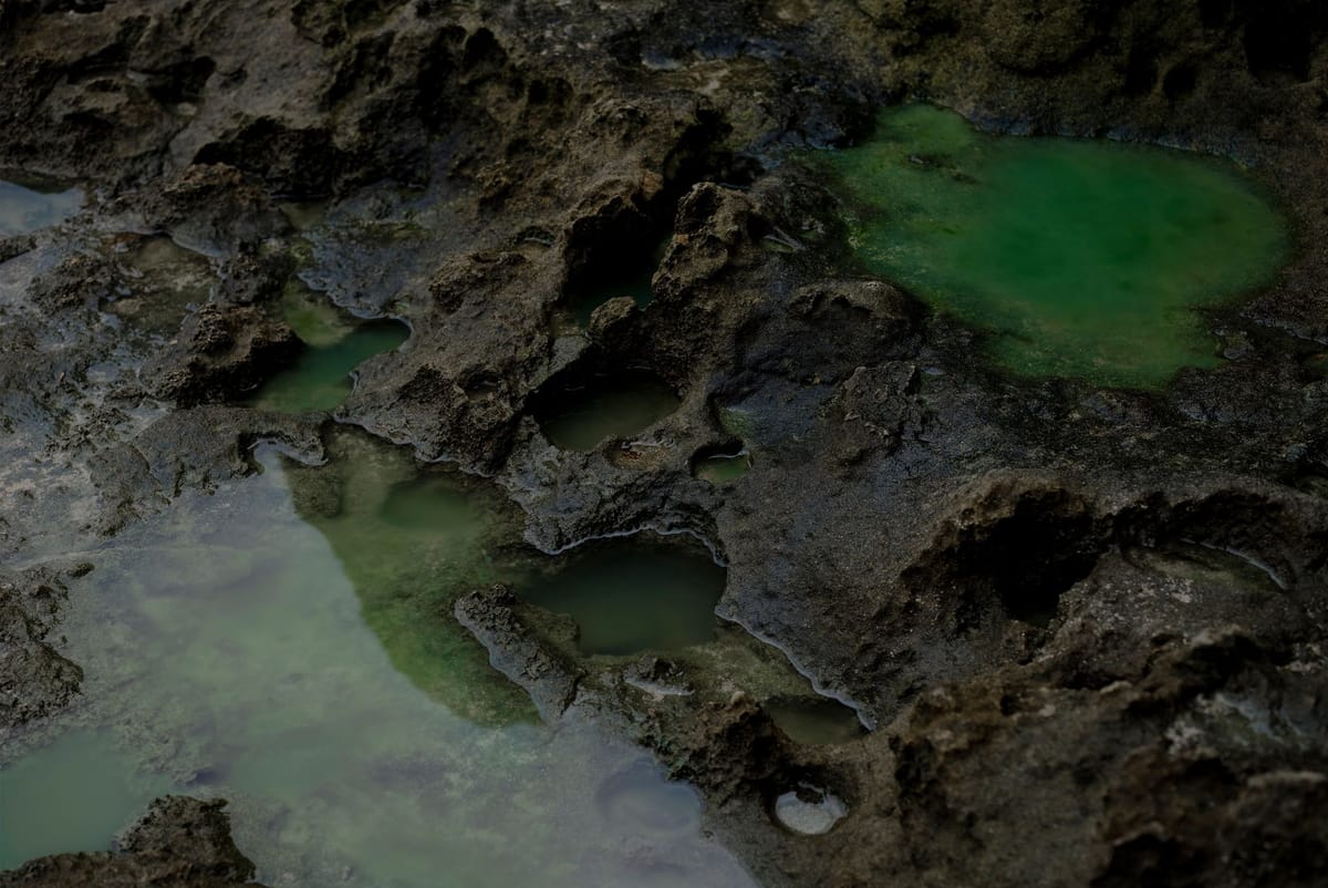 GEZEITEN CAMPAIGN CHARLES BALS 5