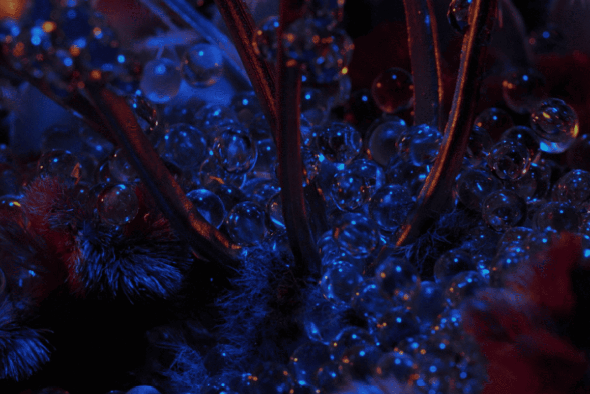 Screenshot 2024 05 03 120539