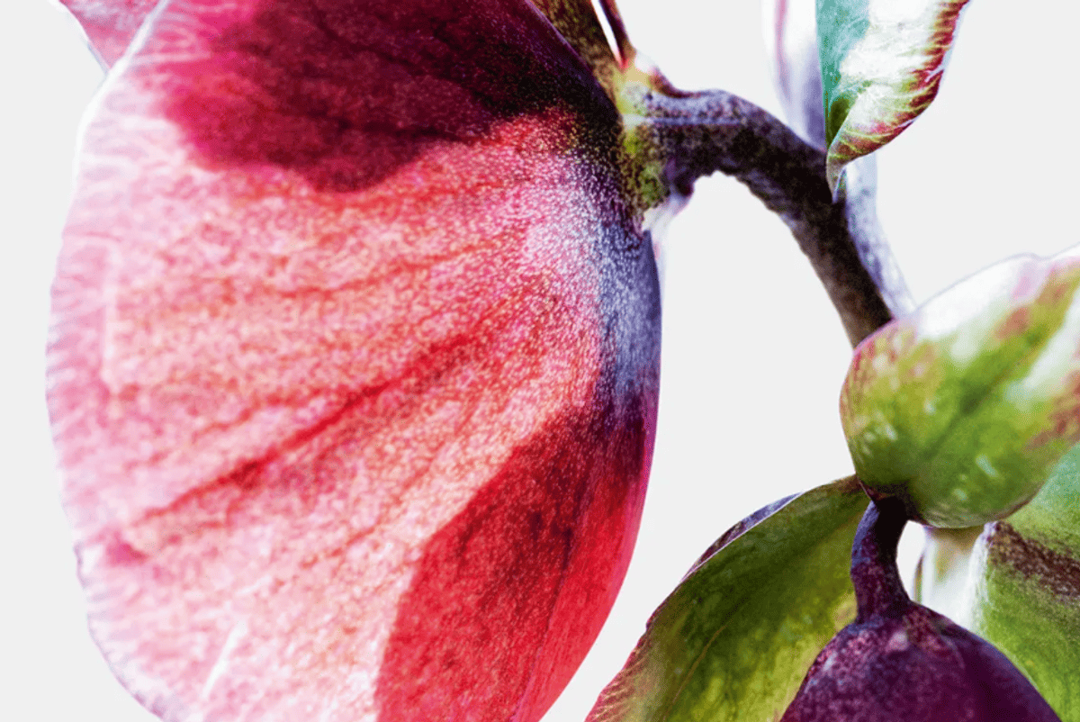 Screenshot 2024 04 24 154224