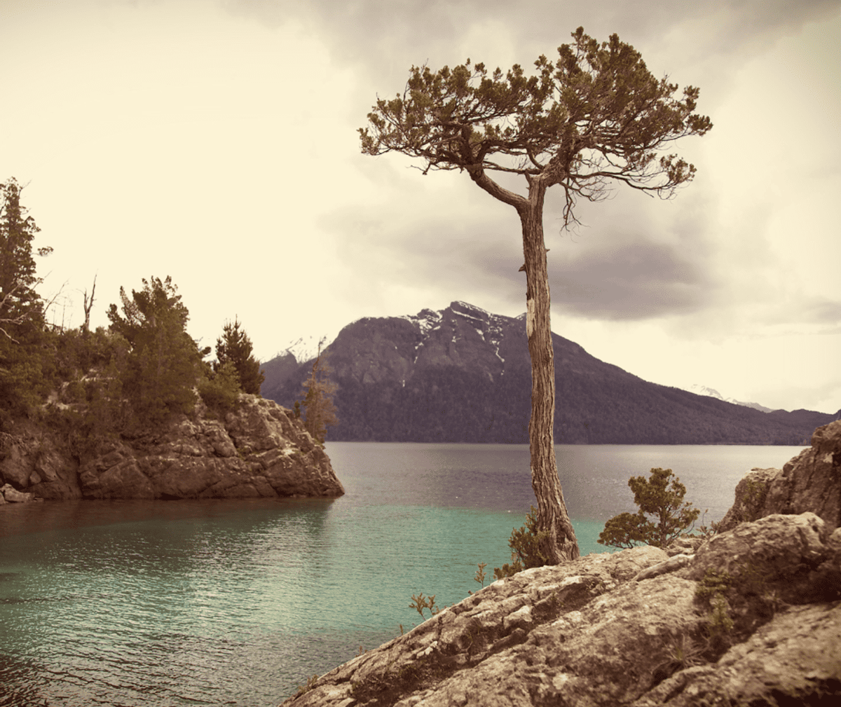 Screenshot 2024 05 08 171516