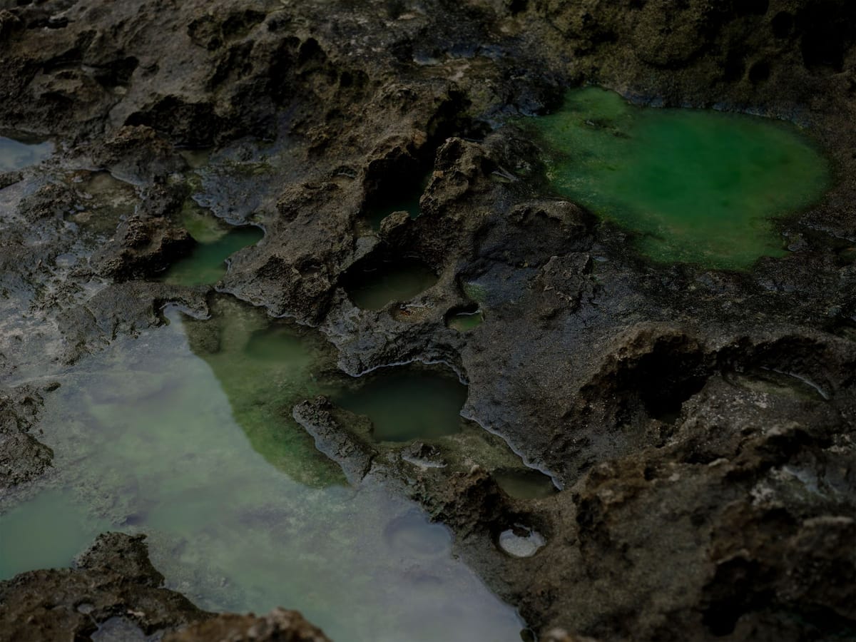 GEZEITEN CAMPAIGN CHARLES BALS 5