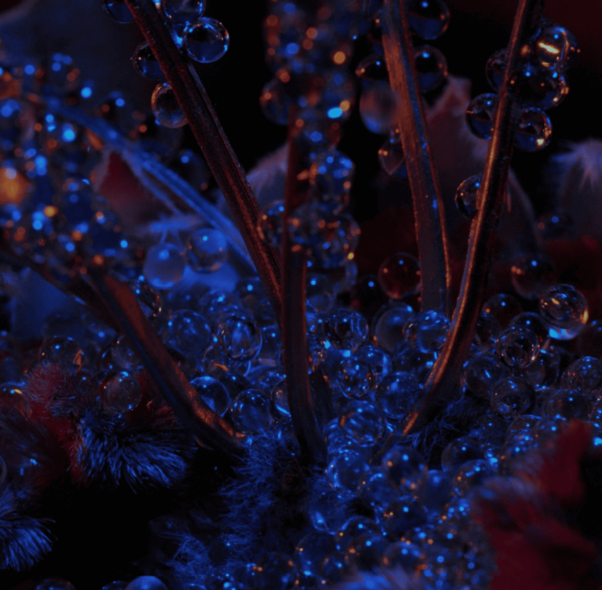 Screenshot 2024 05 03 120539