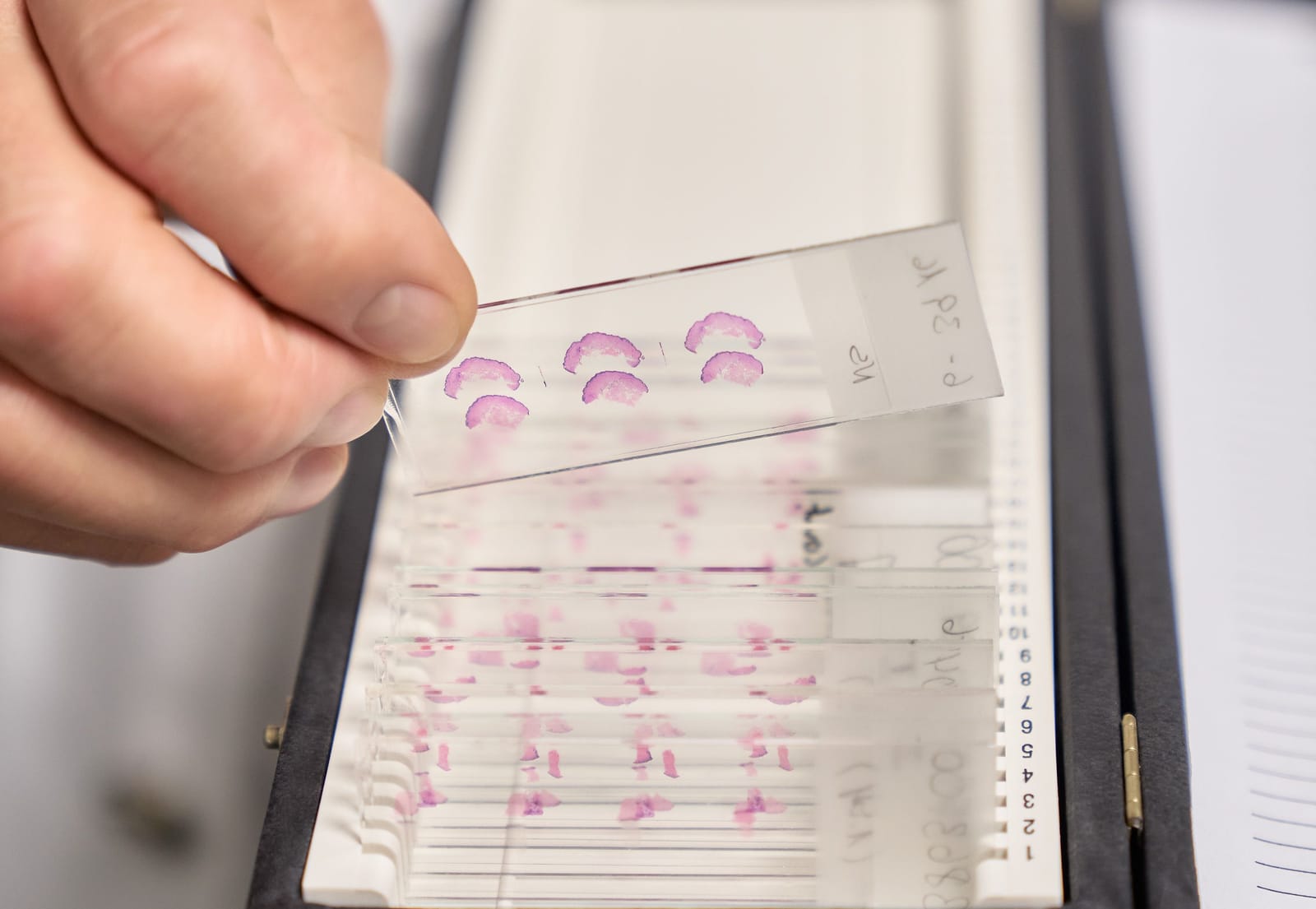 PSRL VST Labor 1521 Bearbeitet