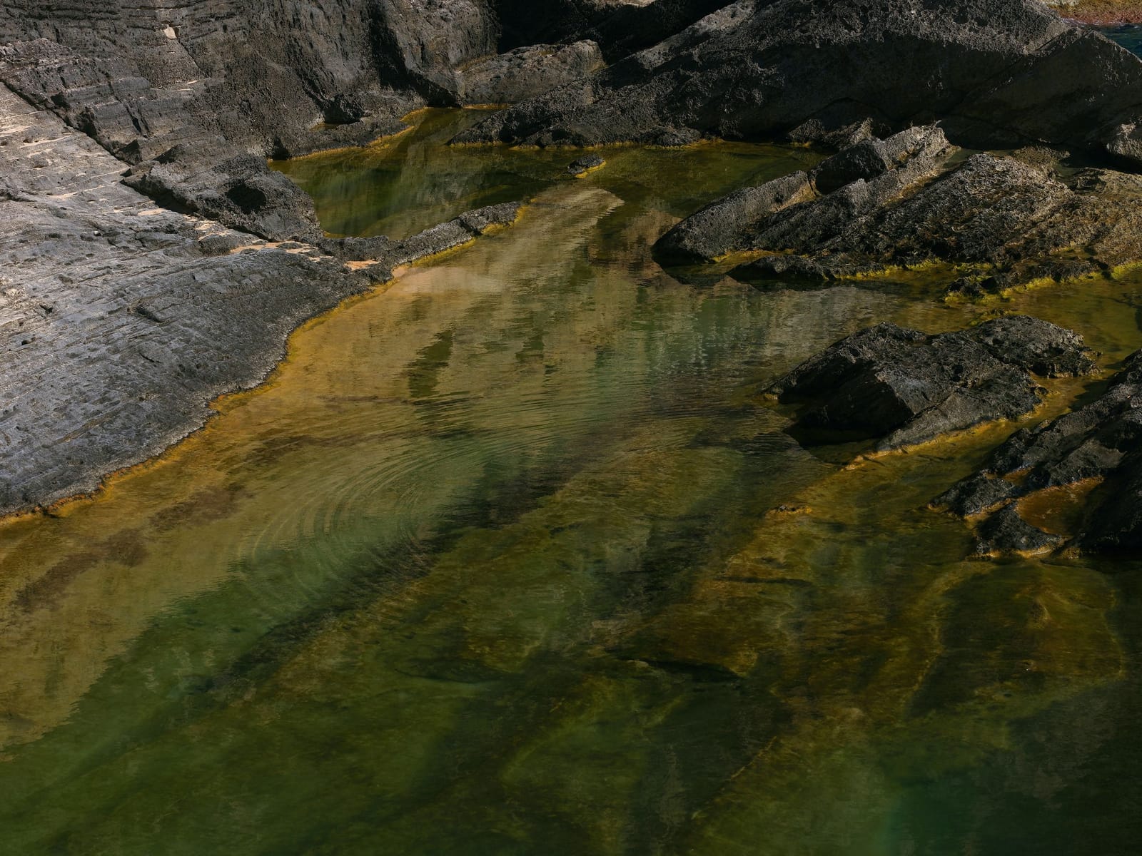 GEZEITEN CAMPAIGN CHARLES BALS 2