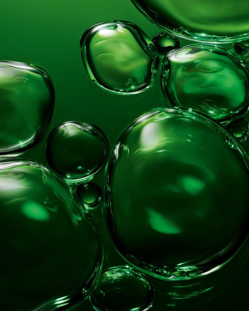 ORV HOUSE 23 Digital Visual Biofermentation 2500x2500 1280x1280