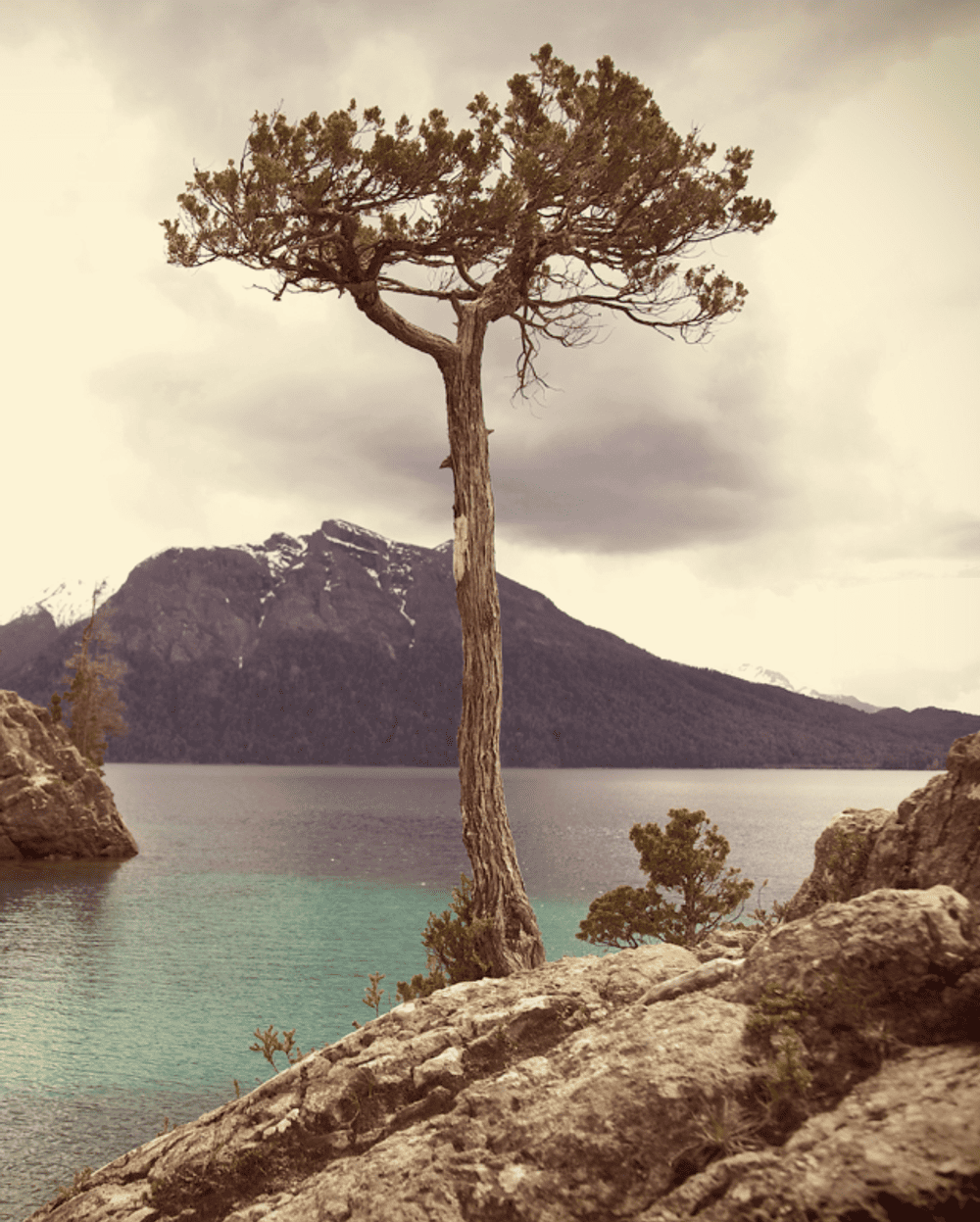 Screenshot 2024 05 08 171516