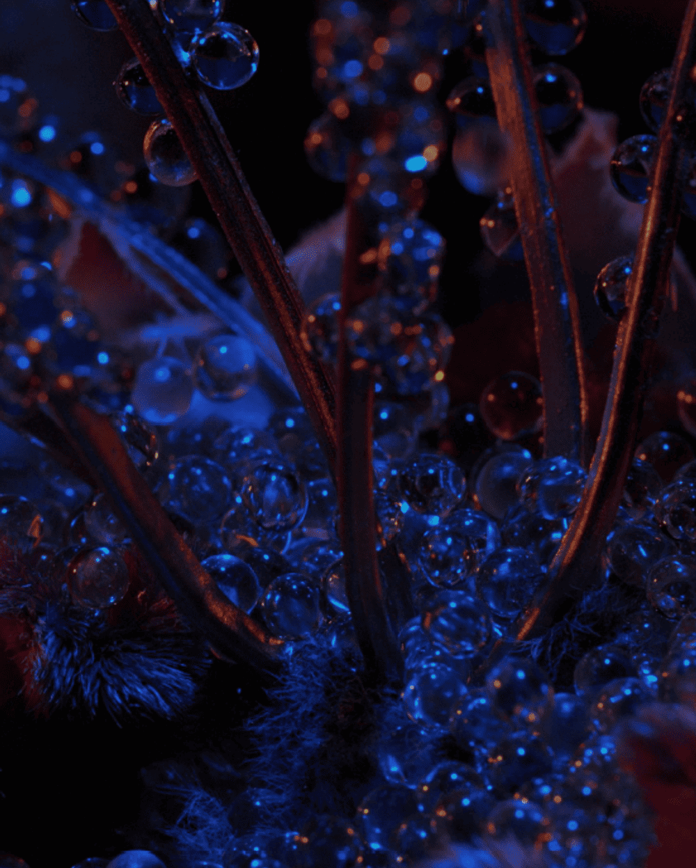 Screenshot 2024 05 03 120539