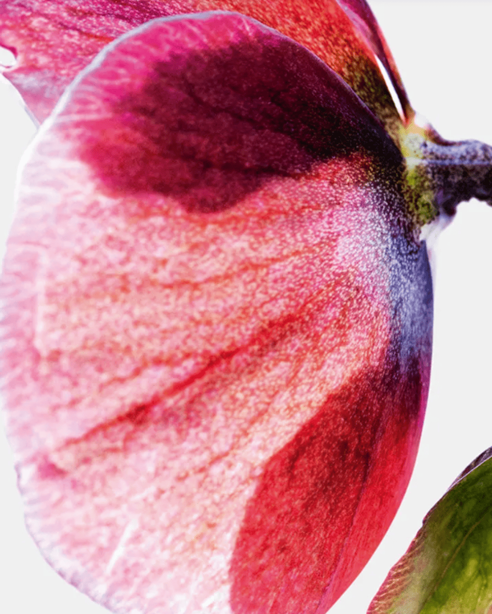 Screenshot 2024 04 24 154224