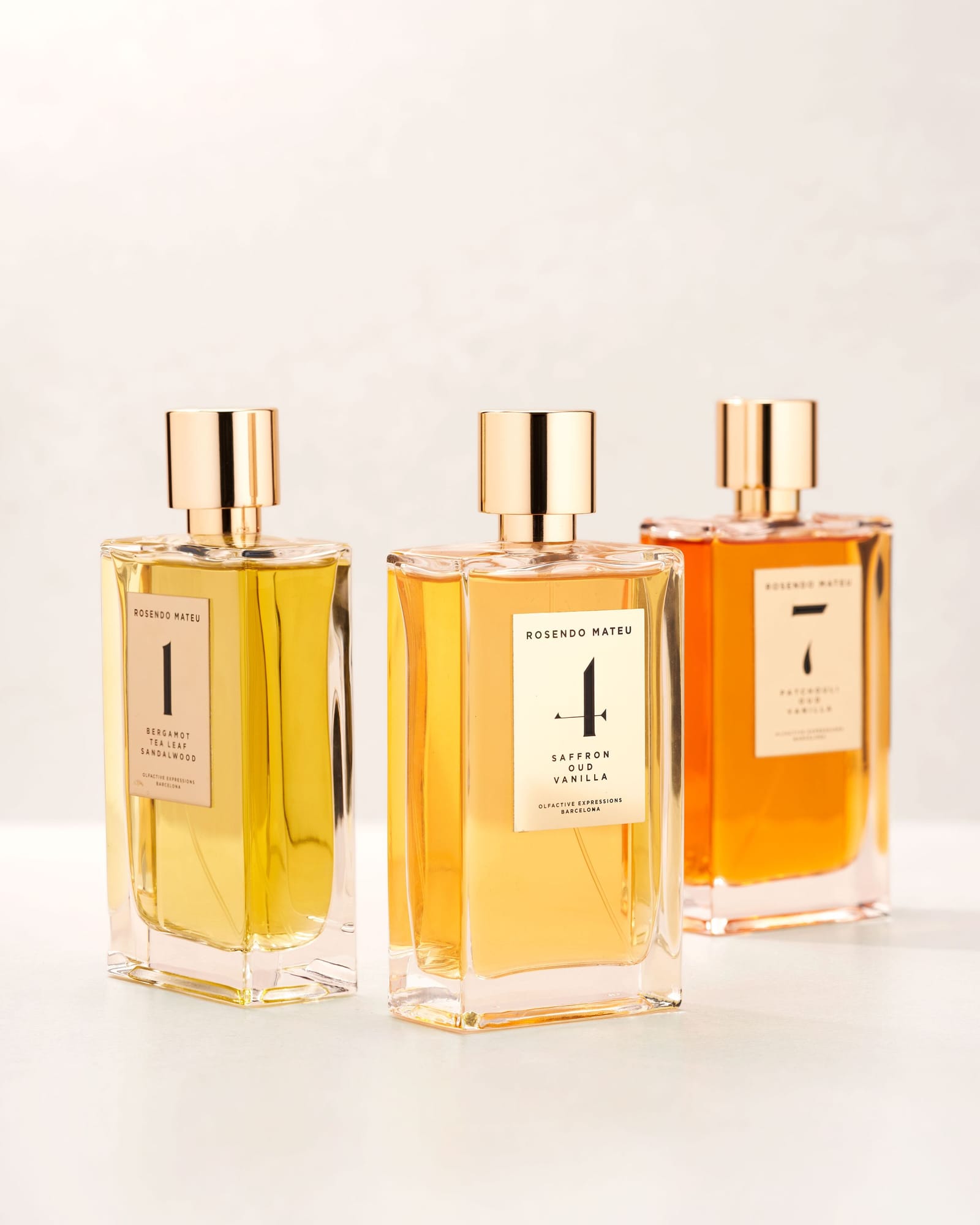 ROSENDO MATEU 3 33 SH2301