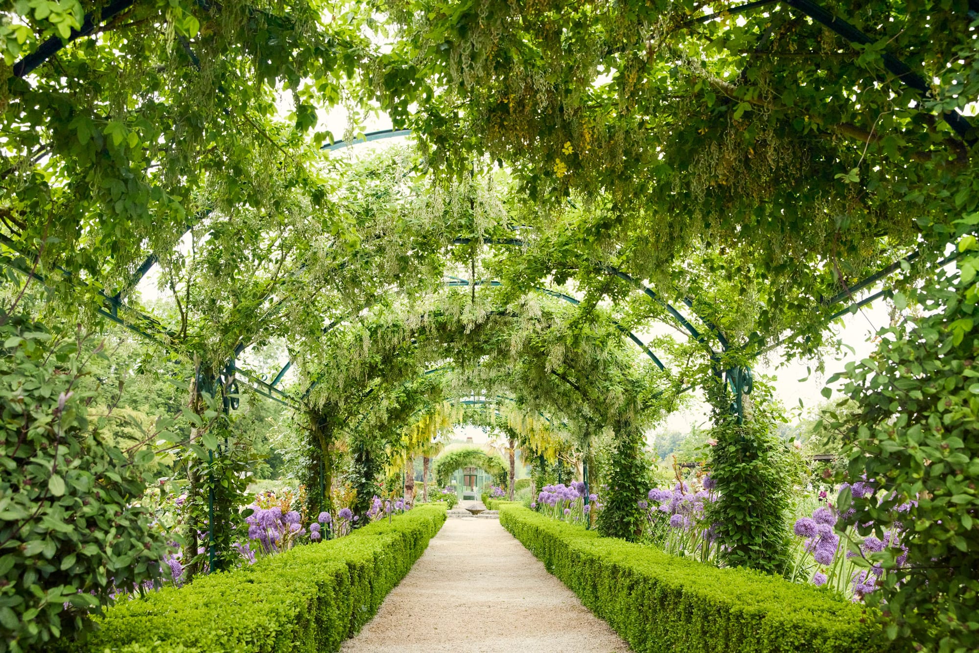 10 989 SWISS PERFECTION 008 R3