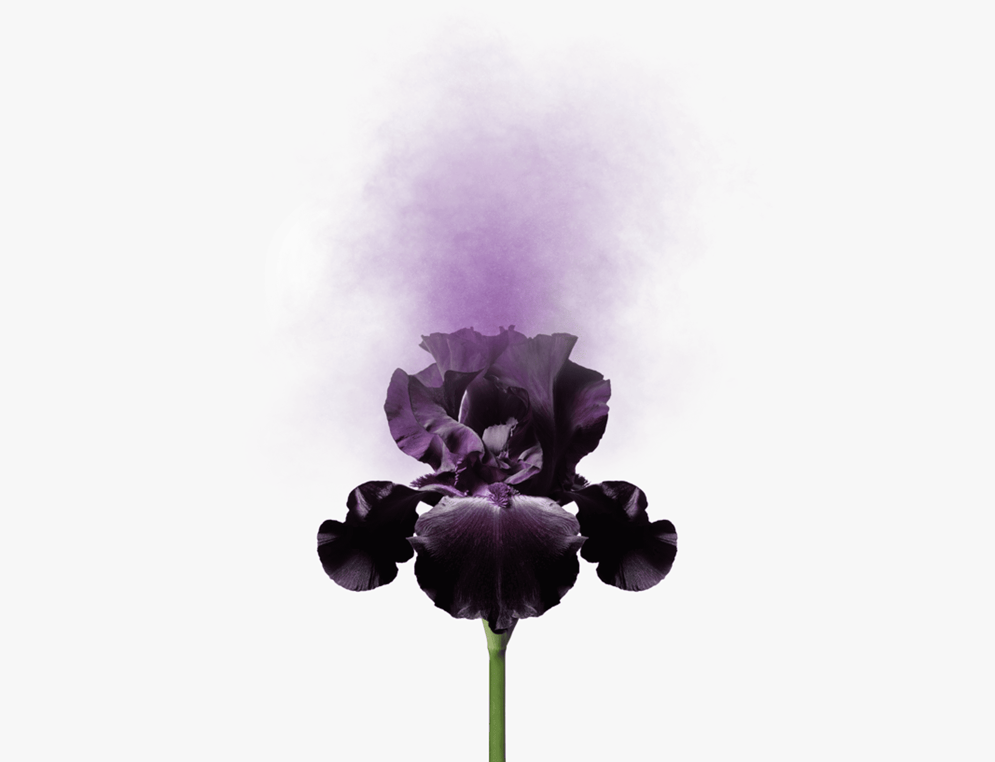 Screenshot 2025 06 06 110638