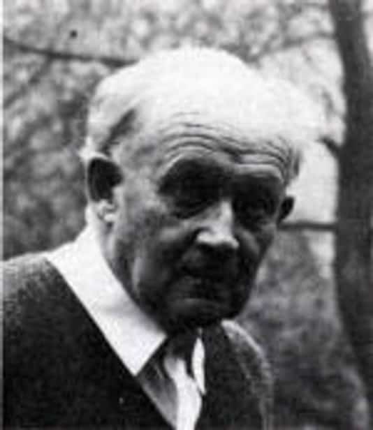 Dr. h.c. Albrecht Goes