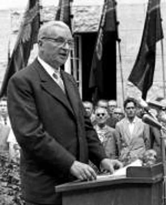 Dr. Theodor Steltzer