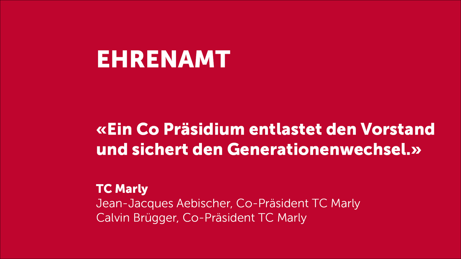 Fokus Ehrenamt DE