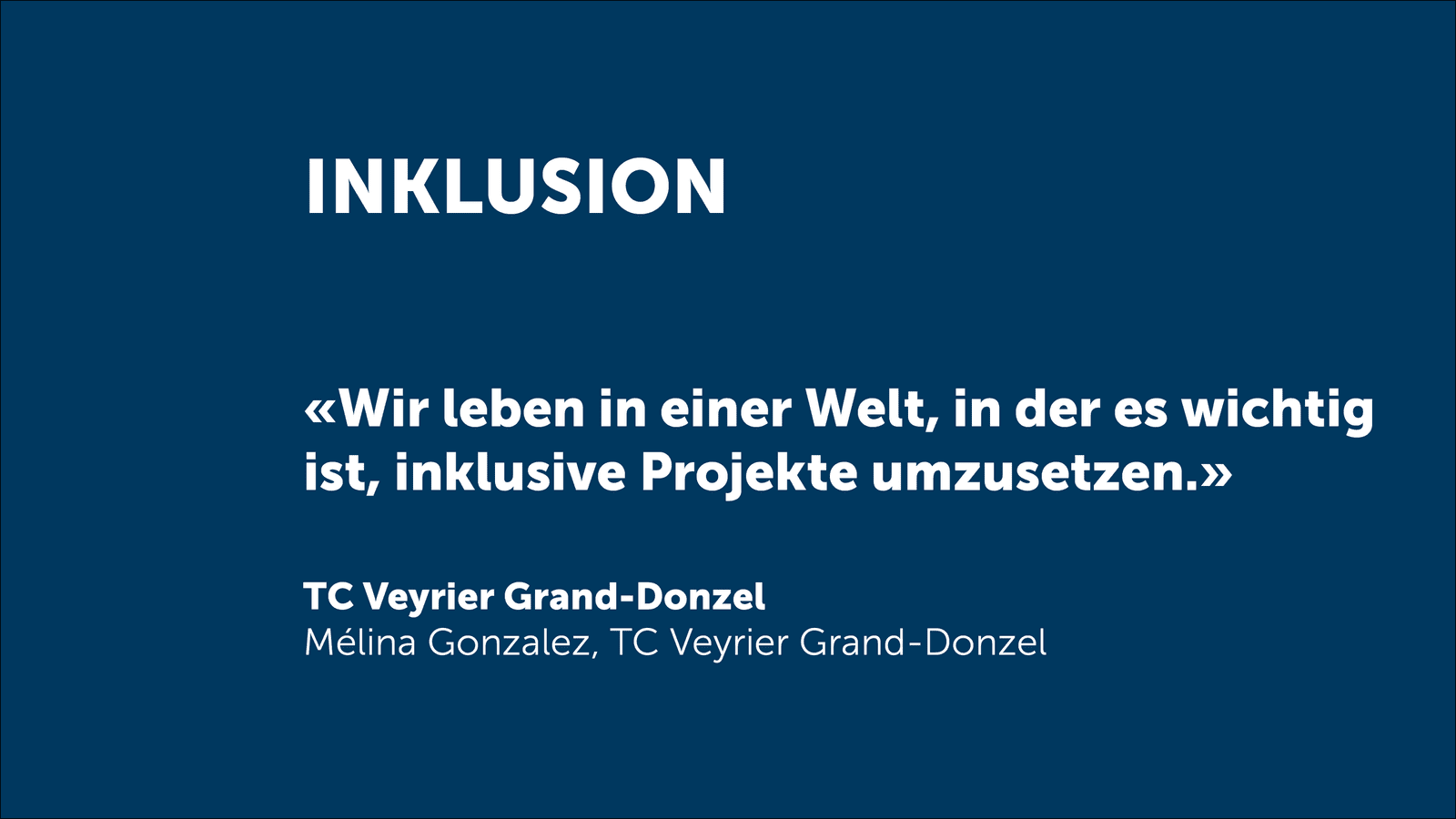 Fokus Inklusion DE