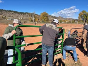 20251020 162903000 i OS