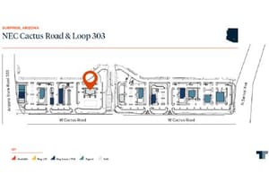 303 Cactus website 100