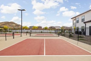 AZ San Tan Valley Stella 42