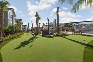 FL Lady Lake Standard441 18