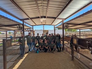 PXL 20251112 184718111