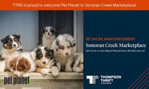 Pet Planet Website 100