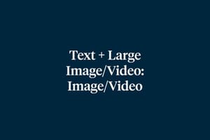 Text Large Image Video Photo Video