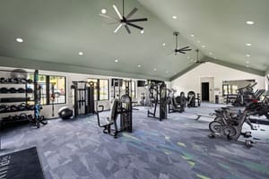 The Pullman 2 Resized