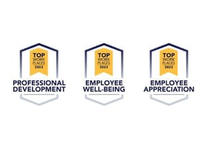 Cultural Excellence website2