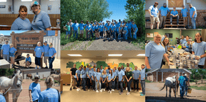 Hearts and horses screencloud 2