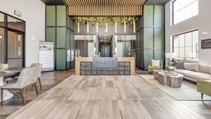 Ev O Xcd ZSXE DSC04866