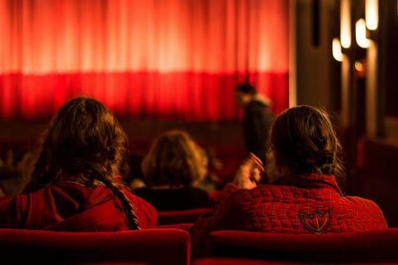 Theatre audience
