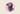 A graphic image of a cat yawning with the text bone idle on a pink circle