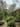 Mothers Garden