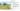Four people spread out are walking through wet boggy ground in a lush green landscape, they have their backs to the camera