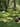 Three people are spaced apart in a luscious green forest, they are crouching, resting and exploring the ground