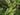 Five people are dispersed in a forest amongst trees and ferns they sit, lie and crouch on the ground